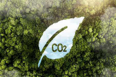 Carbon Management Solutions