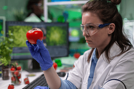 Customized Food Safety Verification Services