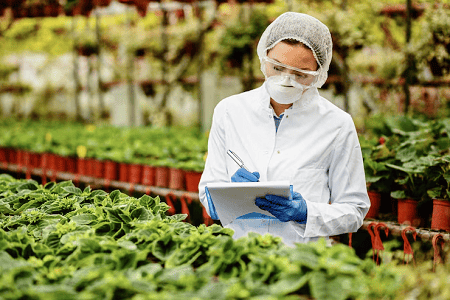 Real-Time Food Safety Data Management