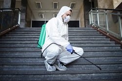 Fumigation & Pest Management 