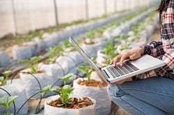 Precision Agriculture