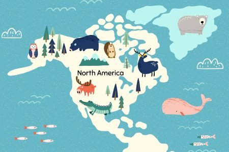 Become buyers from South American Countries