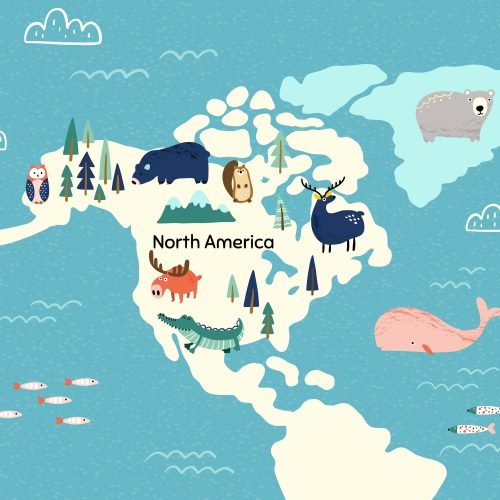 Become buyers from South American Countries